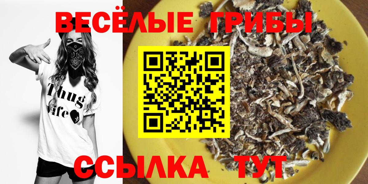 Севастополь  Галлюциногенные грибы мицелий  Вход с VPN  Псилоцибиновые грибы мухоморы 