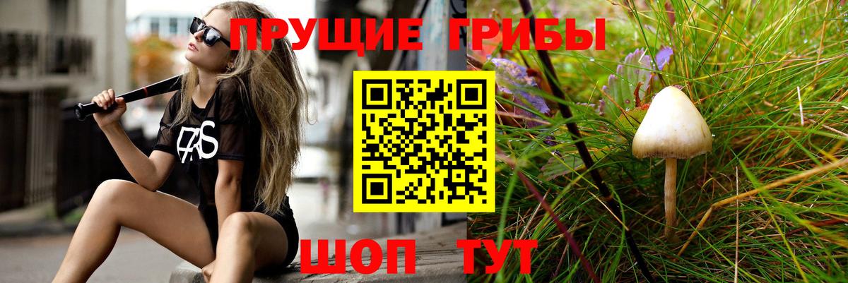 Галлюциногенные грибы мухоморы Севастополь