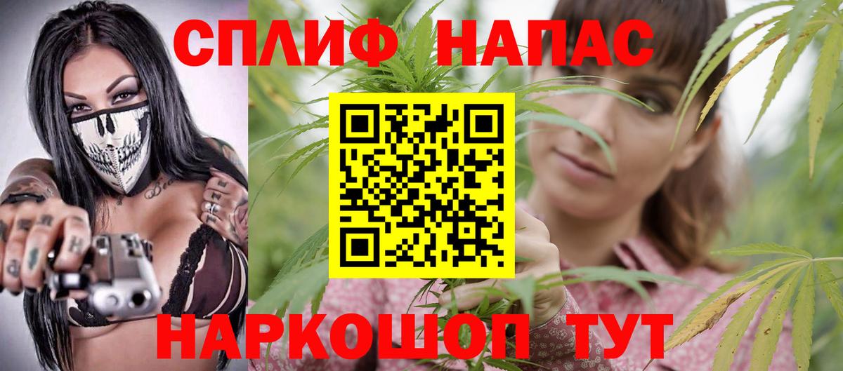 Канабис MAZAR  Каннабис семена  Конопля индика  Вход с VPN  Севастополь 